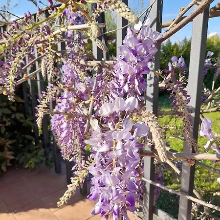 La Terrazza Di Otto 3*