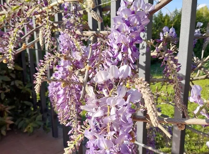 La Terrazza Di Otto 3*