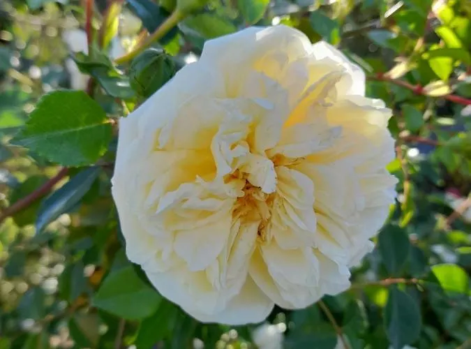 Pensjonat La Terrazza Di Otto
