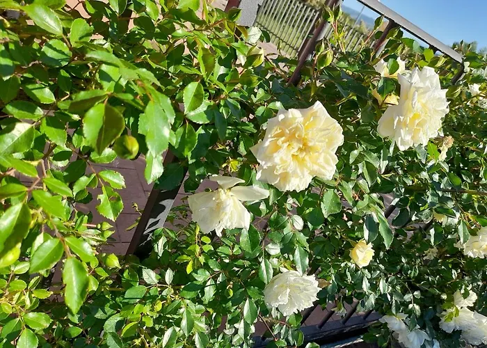 Penzion La Terrazza Di Otto